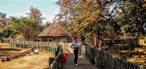National Zoological Gardens Of South Africa Pretoria 2019 All You