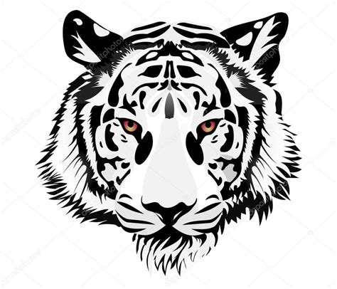 Vectores De Tigre Blanco Ilustracion De Caricatura Blanco Tigre Images