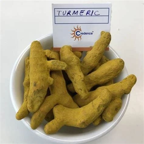 Turmeric Finger At Best Price In Ahmedabad By Credence Commerce