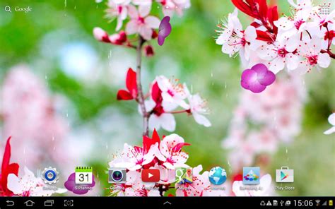Cherry Blossom Live Wallpaper Apk Pour Android Télécharger