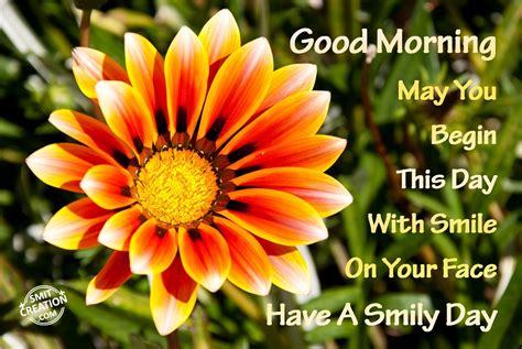 Good Morning Smile Pictures And Graphics Page 3