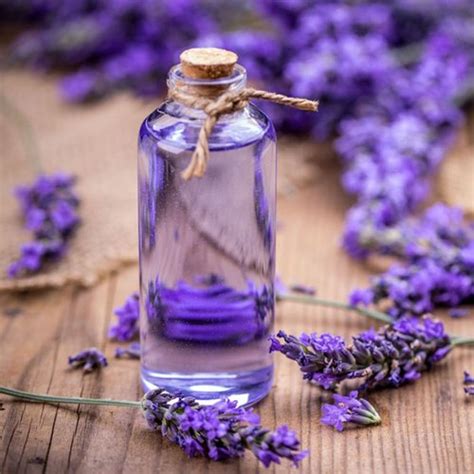 Lavender Oil For Skin Uses And Benefits AtoAllinks