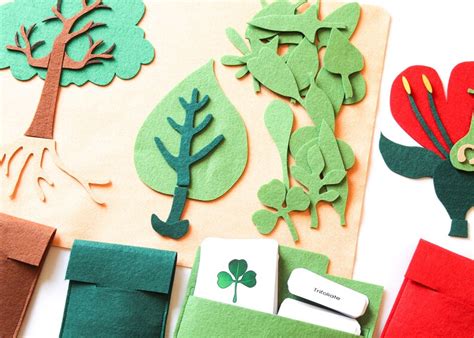 Montessori Complete Botany Felt Play Mat With Parts Of A Tree Etsy