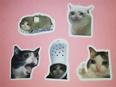 Crying Cat Meme Sticker Pack Matte Vinyl Decals Etsy