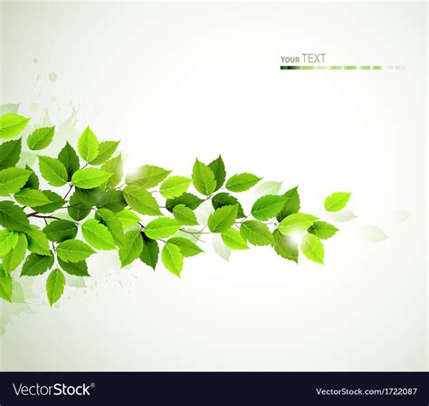 Green Leaves Royalty Free Vector Image Vectorstock