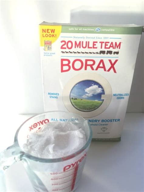 Surprising Uses For Borax Natural Household Hacks