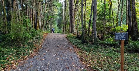 Interurban Trail Where It Intersects With A Parking Lot Along Chuckanut