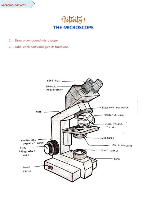 Update Compound Microscope Sketch Seven Edu Vn