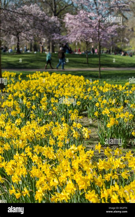 St. James's Park London in Spring Stock Photo - Alamy