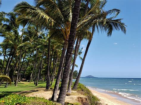 Pros And Cons Of Living In Kihei Maui Lifestyle Hawaii Real Estate