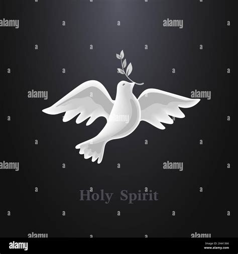Dove Holy Spirit With Olive Branch Stock Vector Image And Art Alamy