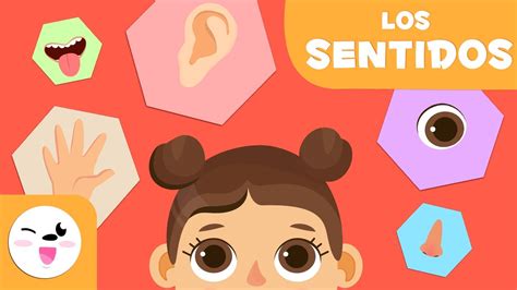 Un rincón de ciencias en educación infantil experimenting with the senses: Los cinco sentidos para niños - Educación infantil - YouTube