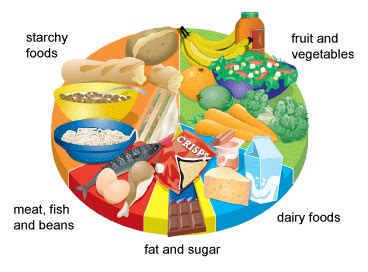 Breads, cereals, rice, pasta, noodles and other grains. Eat well - feel well - Vigorous Times