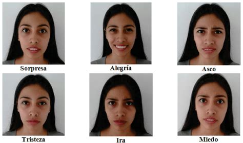 Historia De La Expresion Facial De Las Emociones Infografia Images