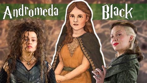 the life of andromeda black bellatrix and narcissa s sister harry potter explained youtube