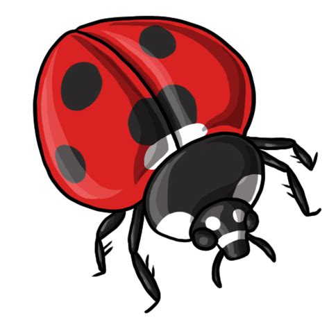Free ladybug cliparts borders, download free clip art, free clip art on clipart library these pictures of this page are about:ladybug border clip art. Ladybug Clip Art Border | Clipart Panda - Free Clipart Images