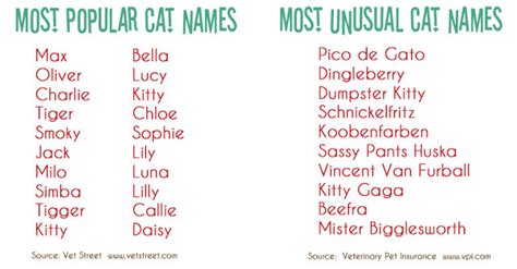 Funny Boy Cat Names 6 Cool Wallpaper