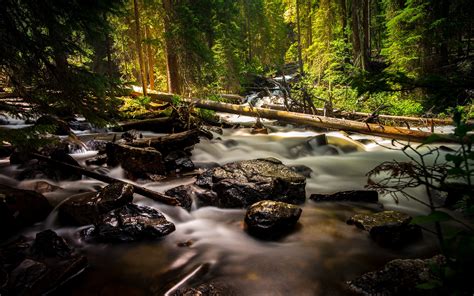 River With Woods And Rocks In The Forest 2016 Scenery High Quality