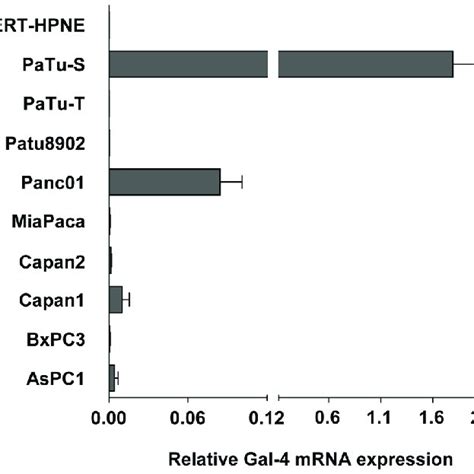Gal MRNA Expression Of Normal Human Pancreatic Duct Epithelial Like Download Scientific