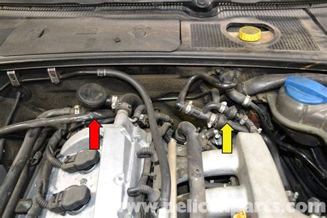 Audi A B Fixing Common Vacuum Leaks Pelican Parts Diy