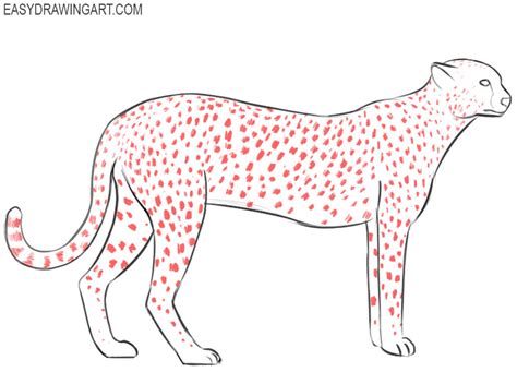 700 x 651 jpeg 142 кб. How to Draw a Cheetah | Easy Drawing Art