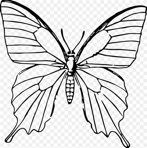 Butterfly Drawing Sketch, PNG, 1270x1280px, Butterfly, Art, Arthropod