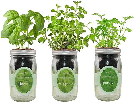 How To Build An Indoor Herb Garden Diy Container Gardening