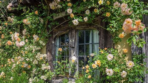 Cottage Window With Plants And Flowers Hd Cottagecore Wallpapers Hd