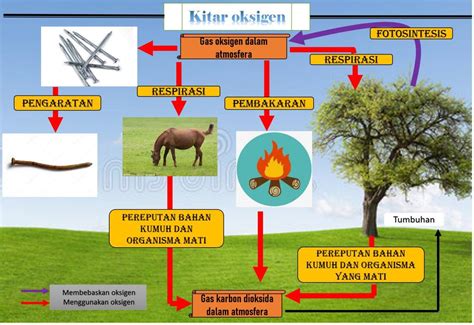 Dekomposisitonton juga video terkait lainnya : Explore to Koh's Science World ( Blog Sains): KITAR KARBON ...