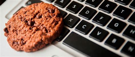 Las Cookies Y La Información Que Pueden Revelar