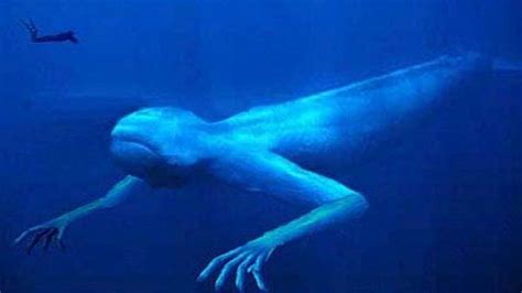 Ningen Humanoid Giant Sea Creature From Antarctic Ocean Real Sea