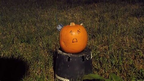 What To Do With Your Pumpkin After Halloween Youtube