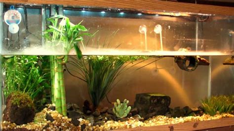 Planted Turtle Tank Red Ear Slider Res With Home Made Co2 Reactor