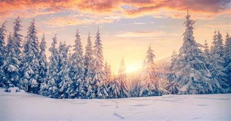 Winter Solstice Traditions 19 Rituals To Help You Celebrate