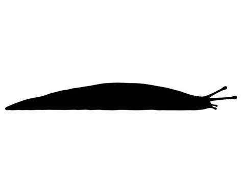 Silhouette Of A Slugs And Snails Illustrations Royalty Free Vector