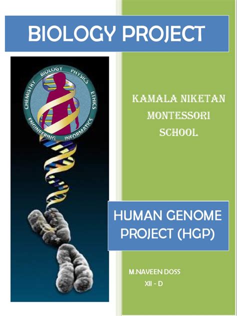 Biology Class 12 Project Pdf Base Pair Human Genome