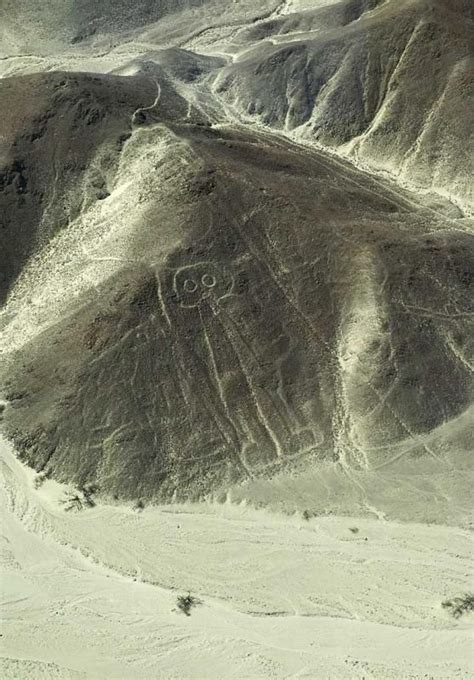 Ancient Runways And Flying Fish Did The Nazca Culture Take Flight Artofit