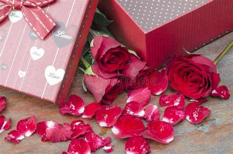 Pictures Of Roses And Ts For Valentine S Day Stock Image Image Of
