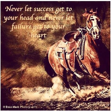 Horse Riding Quotes Rodeo Quotes Inspirational Horse Quotes