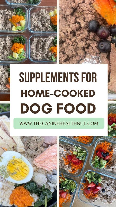Supplements For Home Cooked Dog Food Healthy Dog Food Homemade Raw