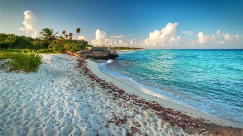 ¿cuáles Son Las Mejores Playas De Campeche Poresto
