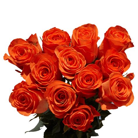 50 Stems Of Orange Wedding Roses Beautiful Fresh Cut Flowers Express