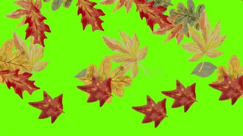 Autumn Leaves Falling Watercolor Oil Painting 2d Animation Vertical
