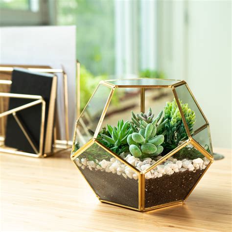 Glass Geometric Terrarium Succulent Planter Brass Etsy Uk