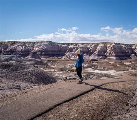 One Day In Petrified Forest National Park A Complete Guide Uprooted