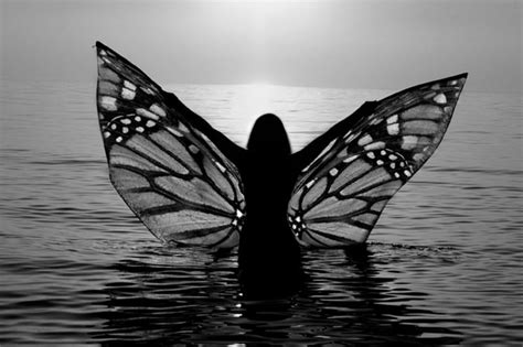 P Free Download Butterfly Girl Wings Ocean Angel Black And White Bonito Wing Woman