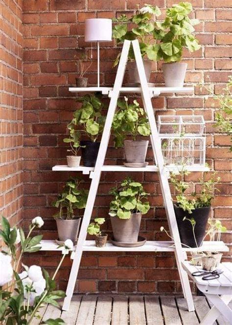 Maybe you would like to learn more about one of these? 31 Inspirasi Membuat Rak Bunga - Ayo-Berkebun