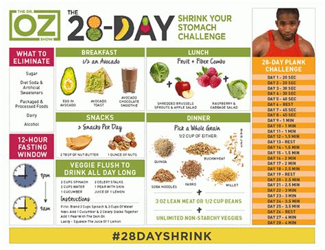 Dr Oz 28 Days Shrink Your Stomach Challenge Instructions Dr Oz