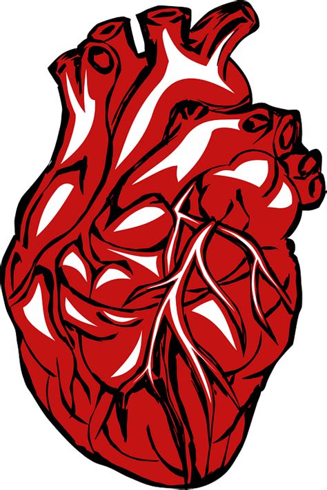 Healthy Heart Clip Art