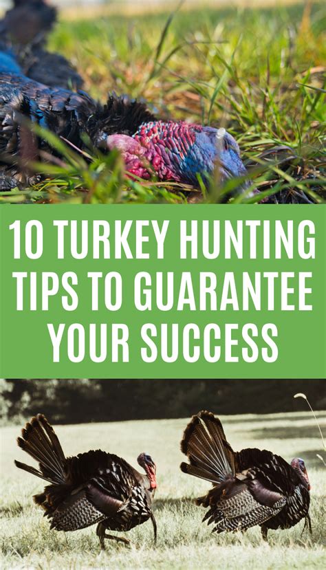 10 Turkey Hunting Tips To Guarantee Your Success In 2020 Turkey